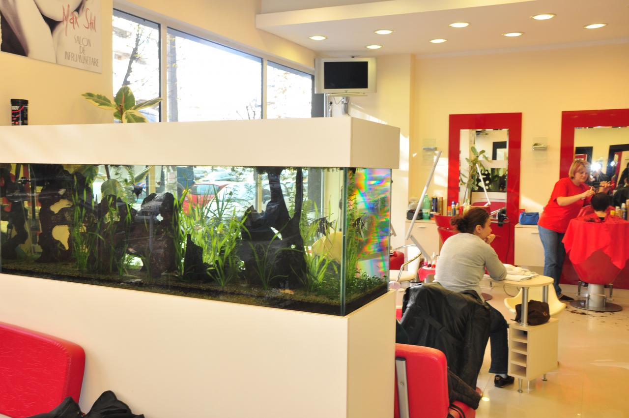 Salon Max Stil Salon Delfinului Din Bucuresti