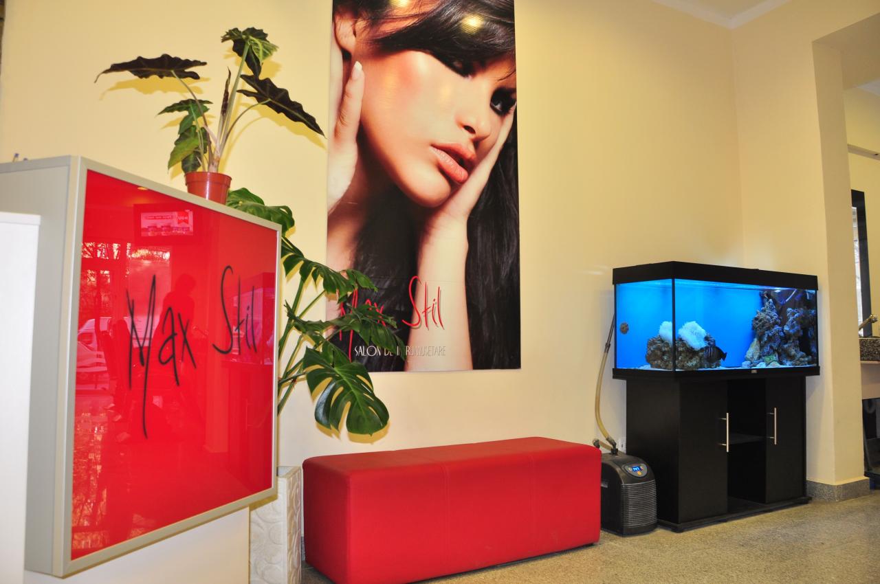 Salon Max Stil Salon Delfinului Din Bucuresti