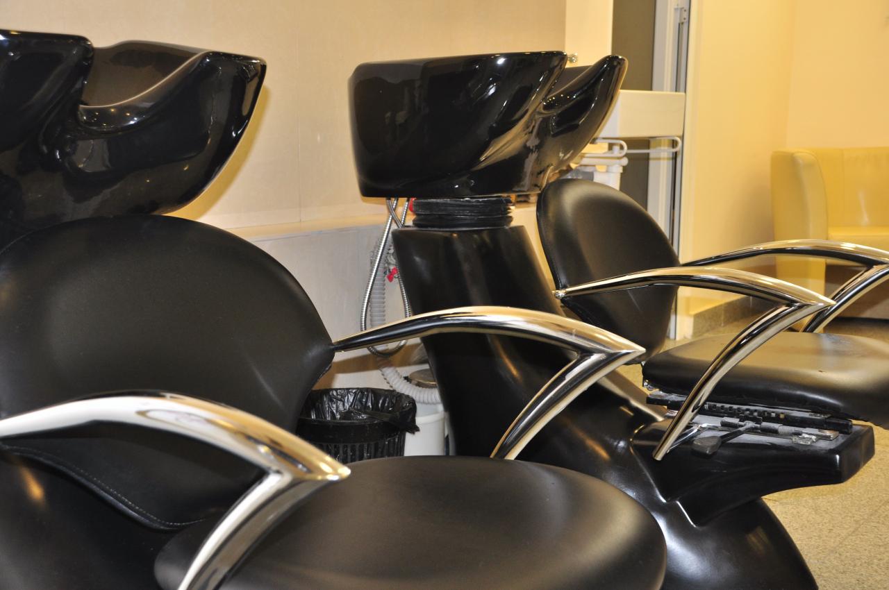 Salon Max Stil Salon Delfinului Din Bucuresti
