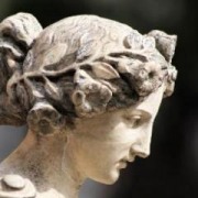 Prefectura vaslui programari online Prefectura vaslui programari online