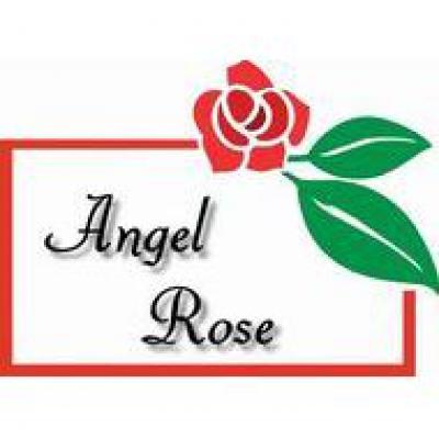 Angel Rose Salon